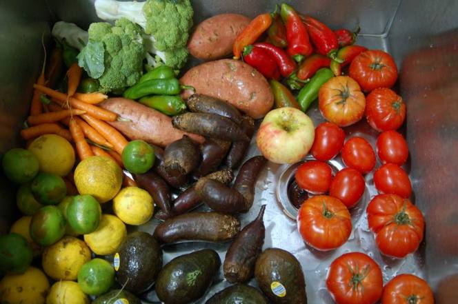 1392477_593395610719510_1859366286_n